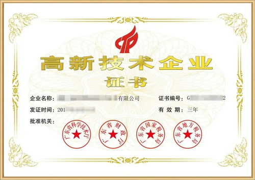 有6个实用新型专利的佛山化工企业经专业辅导一次性通过高企认定